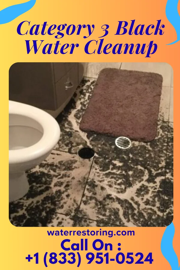 Category 3 Black Water Cleanup in Pierron, IL
