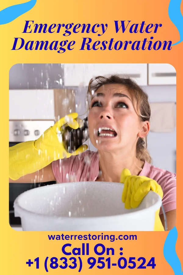 Emergency Water Damage Restoration in Pierron, IL