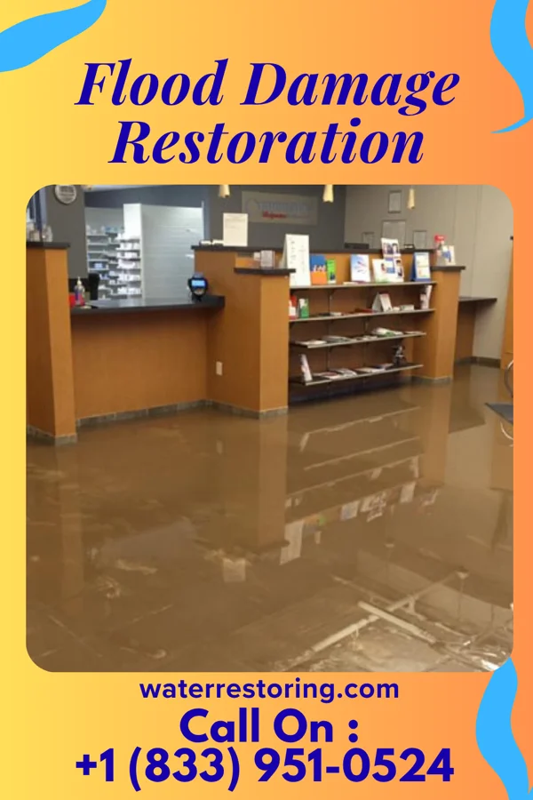 Flood Damage Restoration in Pierron, IL