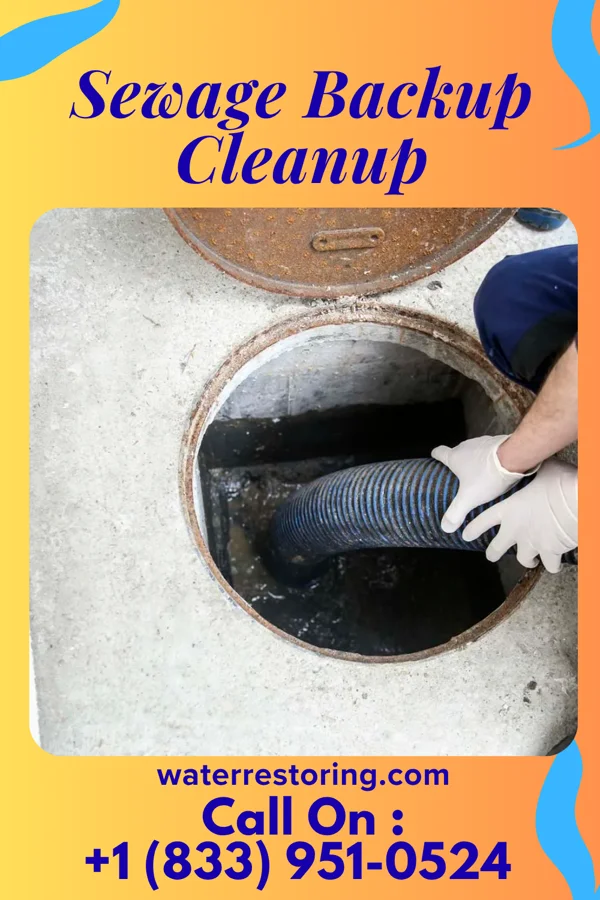 Sewage Backup Cleanup in Pierron, IL